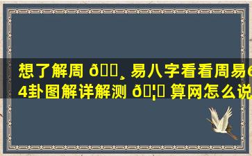 想了解周 🕸 易八字看看周易64卦图解详解测 🦍 算网怎么说
